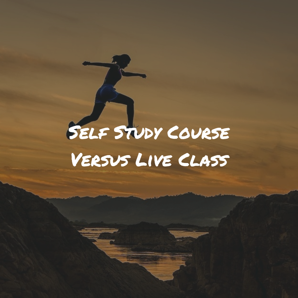 Discussion about self study course versus live class decision.